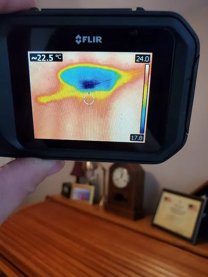 Thermal imaging inspection for water damage in Hudson